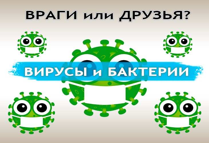 Инфекционных заболеваний не существует: правда о вирусах и бактериях