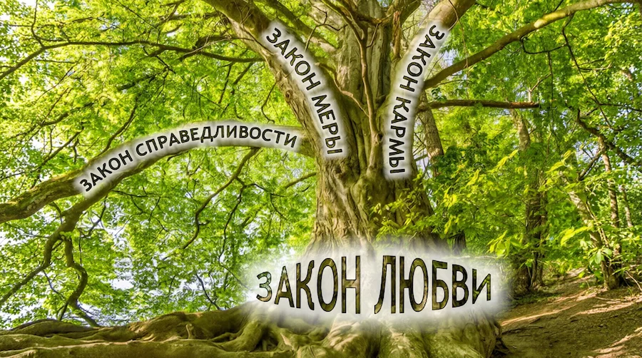 Древо законов Мироздания: в основании Закон Любви как ствол, от которого произрастают ветви — Закон Меры, Закон Кармы, Закон Справедливости и др.