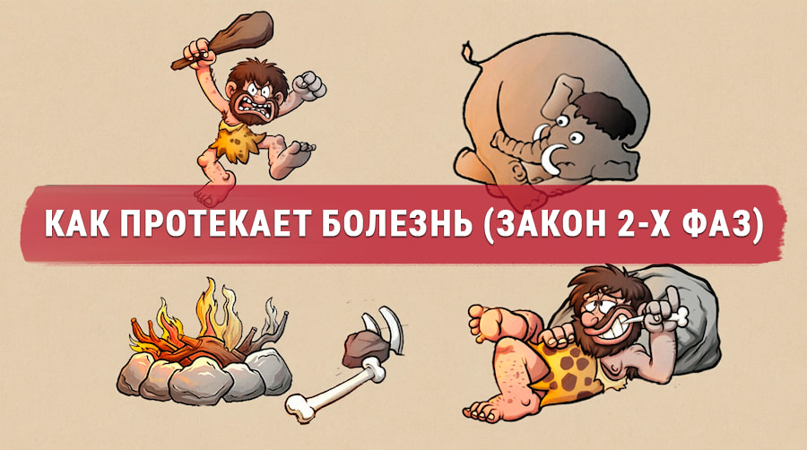 Схема двух фаз болезни: холодная активная фаза конфликта и горячая фаза восстановления — 2-й биологический закон Хамера