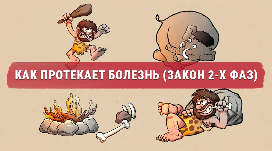 Схема двух фаз болезни: холодная активная фаза конфликта и горячая фаза восстановления — 2-й биологический закон Хамера