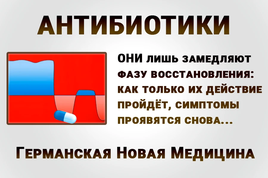 График фазы восстановления с синей линией и капсулой антибиотика, надписи «АНТИБИОТИКИ», «ОНИ ЛИШЬ ЗАМЕДЛЯЮТ ФАЗУ ВОССТАНОВЛЕНИЯ: КАК ТОЛЬКО ИХ ДЕЙСТВИЕ ПРОЙДЁТ, СИМПТОМЫ ПРОЯВЯТСЯ СНОВА...», «Германская Новая Медицина»: иллюстрация к 4-му биологическому закону Хамера о том, что антибиотики не лечат, а прерывают естественный процесс восстановления, создавая искусственный стресс